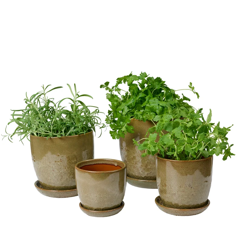 Pio II Blumentopf D17 cm