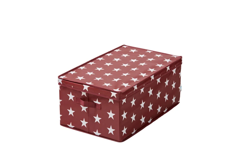 LOVE IT STORE IT Aufbewahrungsbox für Weihnachtskugeln, Stern, 58x36x25 cm – WEIHNACHTEN