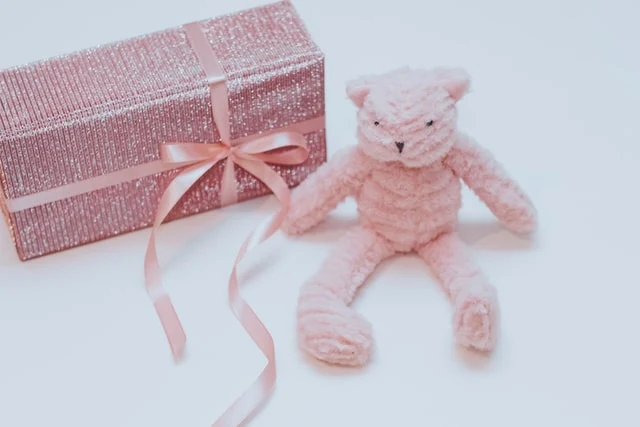 Pink Teddy Bear