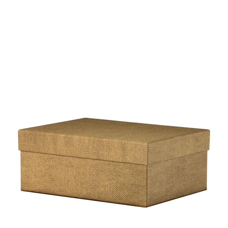 Aufbewahrungsbox | 30x12x20cm | mit Deckel